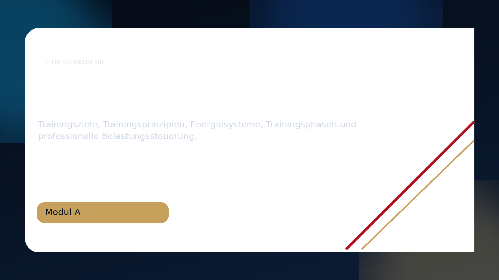 Trainingswissenschaft